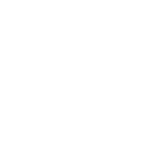 Lotus Vancouver