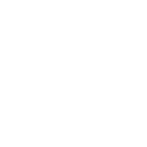 Solutions architect