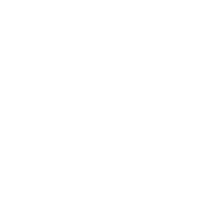 Ameri100