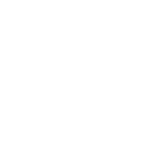 Housefly